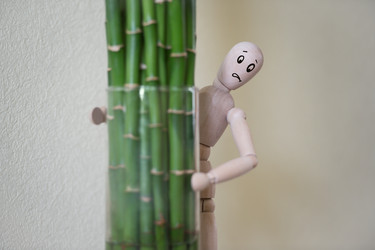 Similar image 2815853