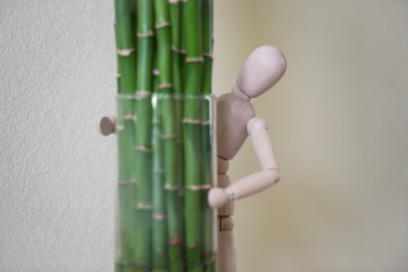 Similar image 2815864