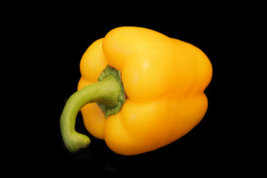 Similar image 2815870