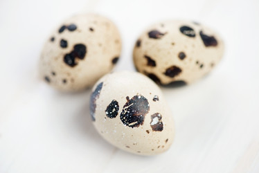 Similar image 2815893