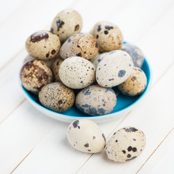 Similar image 2815899