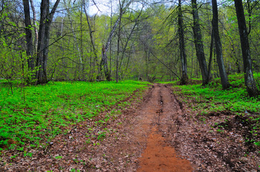 Similar image 2815959