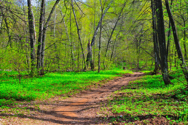 Similar image 2815960