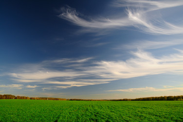 Similar image 2815962