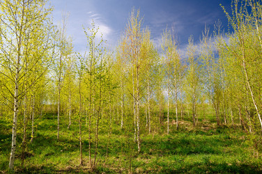 Similar image 2815968