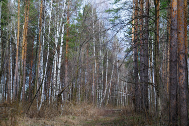 Similar image 2815970