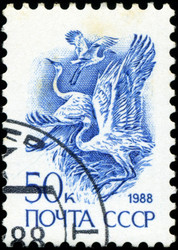 Similar image 2816024