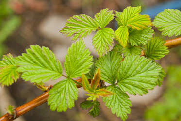 Similar image 2816171