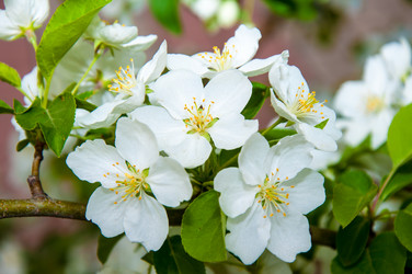 Similar image 2816183