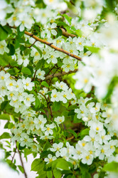 Similar image 2816184