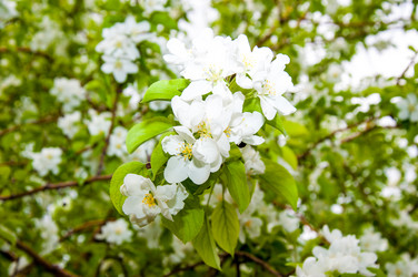 Similar image 2816185