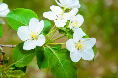 Similar image 2816186