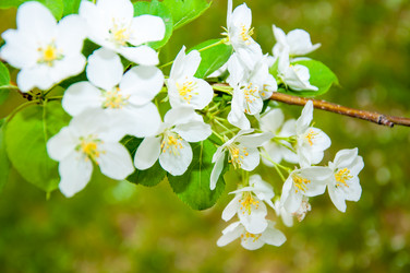 Similar image 2816187