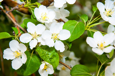 Similar image 2816188