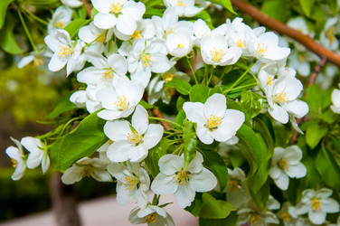 Similar image 2816189