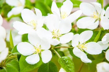 Similar image 2816190