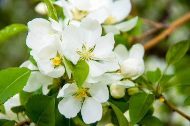 Similar image 2816191