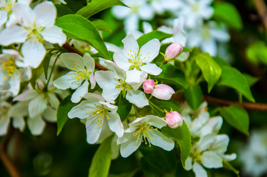 Similar image 2816192