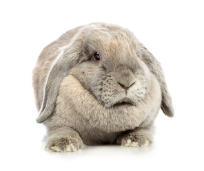 Similar image 2816532