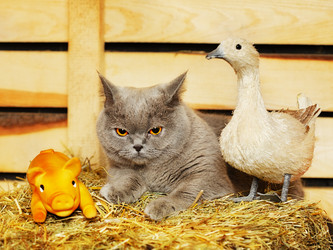 Similar image 2816578