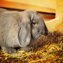 Similar image 2816579