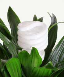 Similar image 2817356