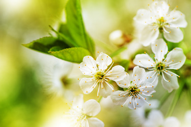 Similar image 2818035