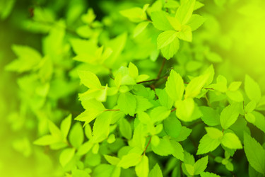 Similar image 2818036