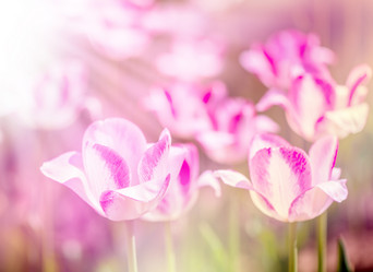 Similar image 2818037