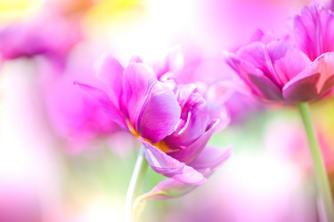 Similar image 2818038