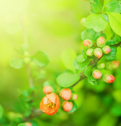 Similar image 2818039