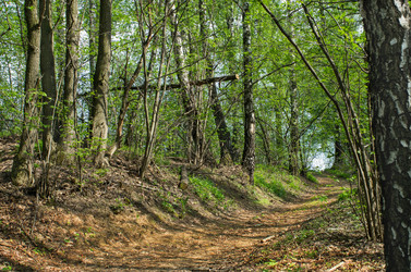 Similar image 2818252