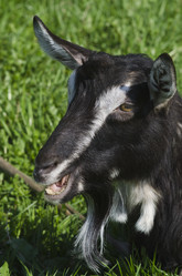 Similar image 2818262