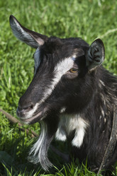 Similar image 2818263