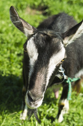 Similar image 2818265