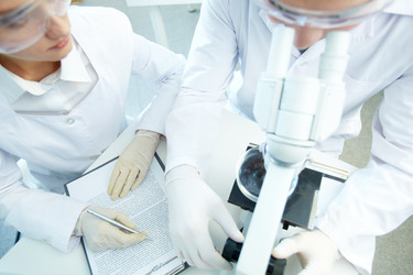 Similar image 2818413