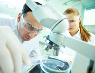 Similar image 2818417