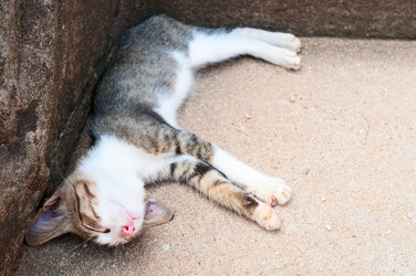 Similar image 2818453