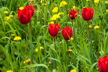 Similar image 2818626