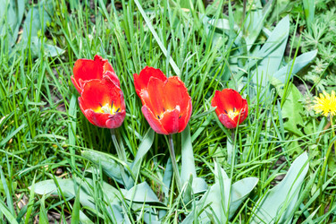 Similar image 2818630