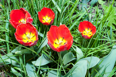 Similar image 2818631