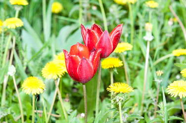 Similar image 2818632