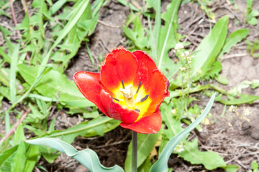 Similar image 2818639