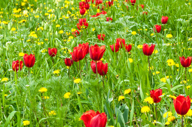 Similar image 2818640