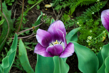 Similar image 2818643