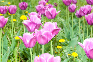 Similar image 2818645