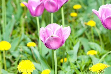 Similar image 2818646