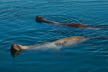 Similar image 2818783