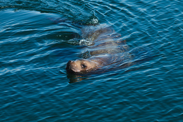 Similar image 2818784