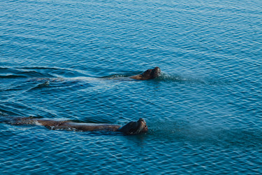 Similar image 2818786